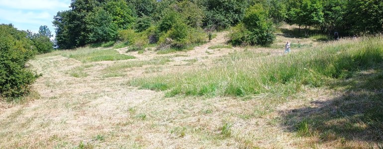 Ve čtvrtek 14. 11. spouštíme příjem žádostí do Programu péče o krajinu 2025