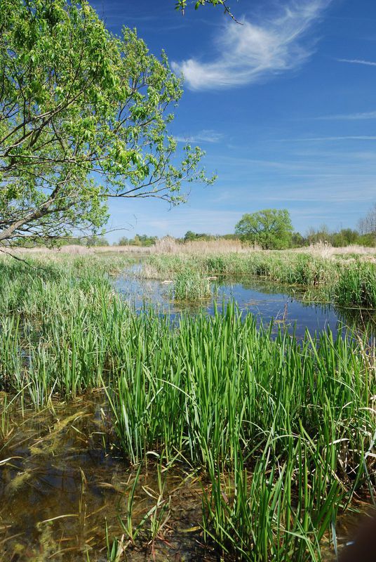 NPP Pastvisko u Lednice.