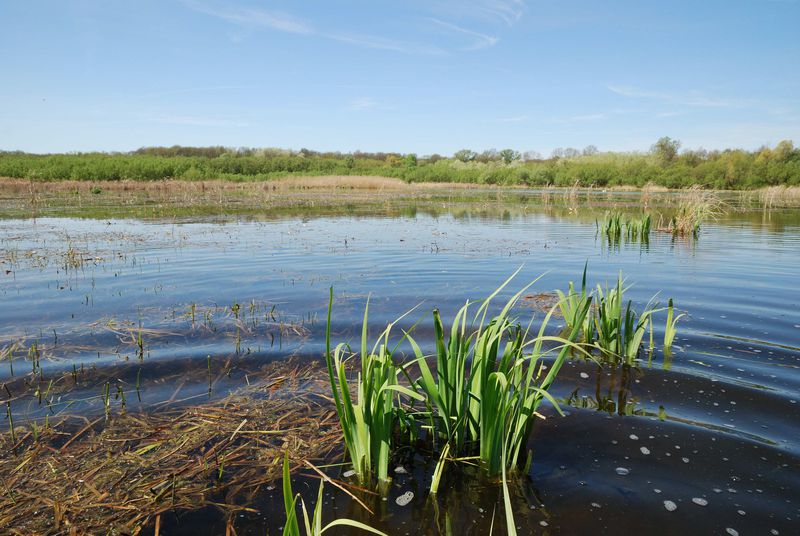 NPP Pastvisko u Lednice.