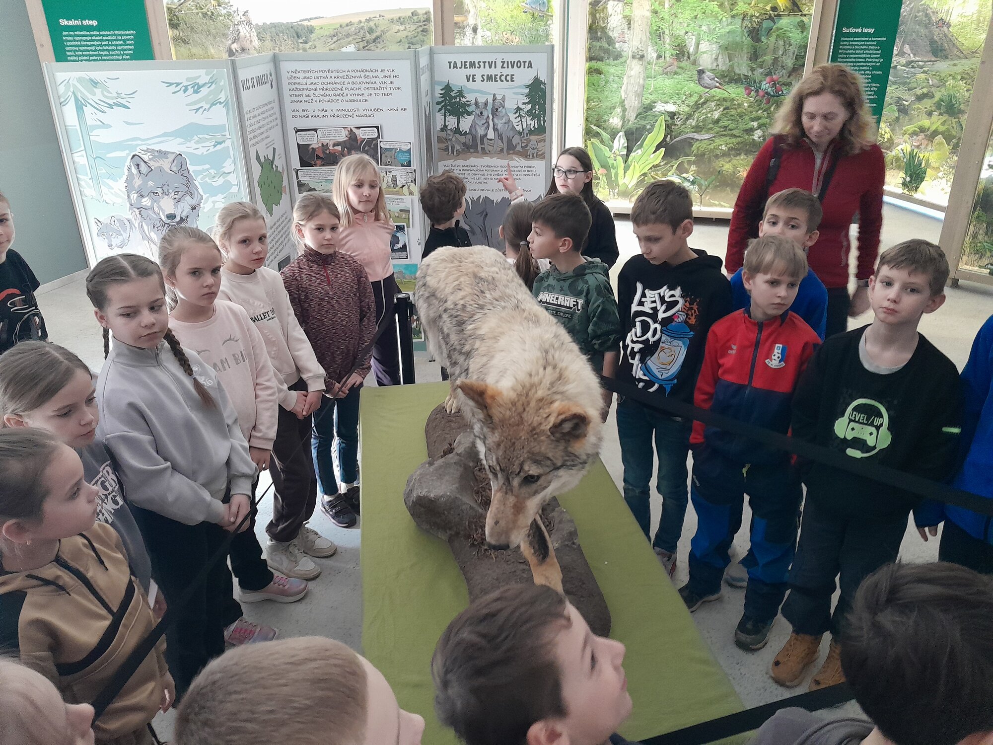 Educational program about the wolf in the Moravian Karst House of Nature