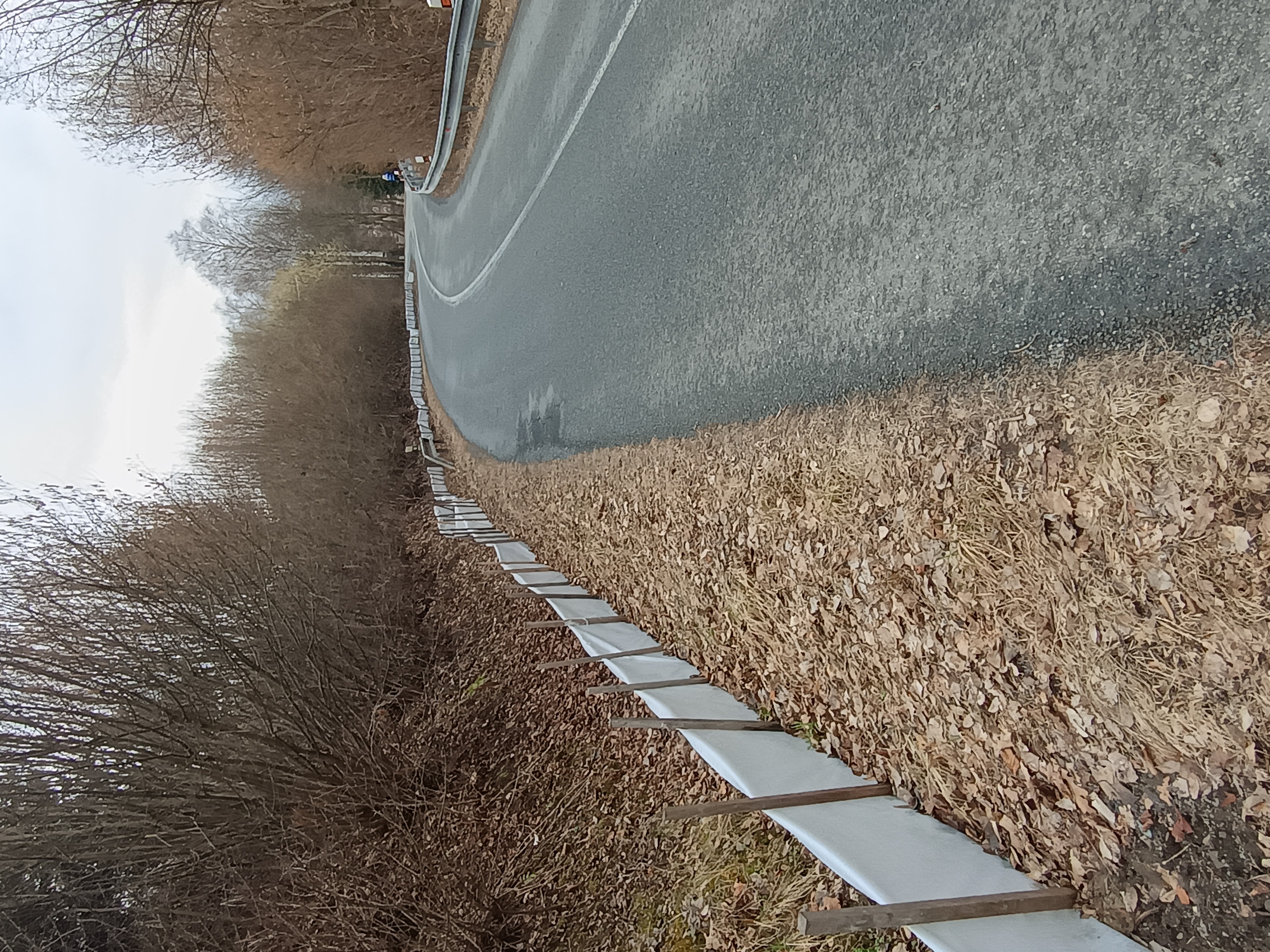 mobilní zábrany pro obojživelníky kolem silnice