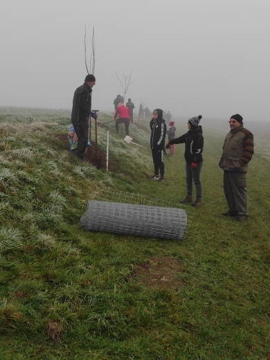 Dobrovolníci vysazují stromky nedaleko Brloha.