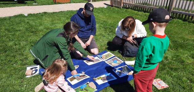 Děti rozpoznávají druhy obojživelníků podle fotografií.