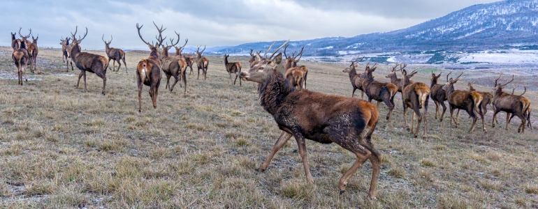 Zima v národní přírodní památce Lom ČSA