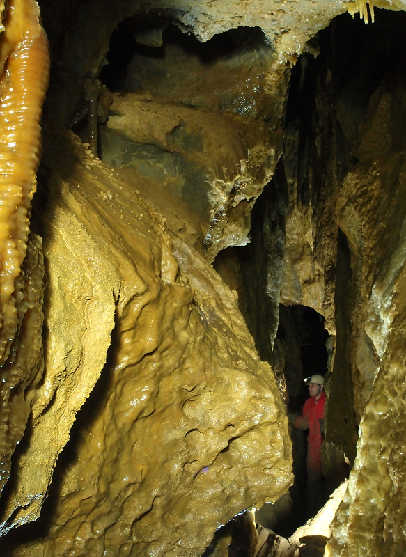 Medová chodba_Javorka