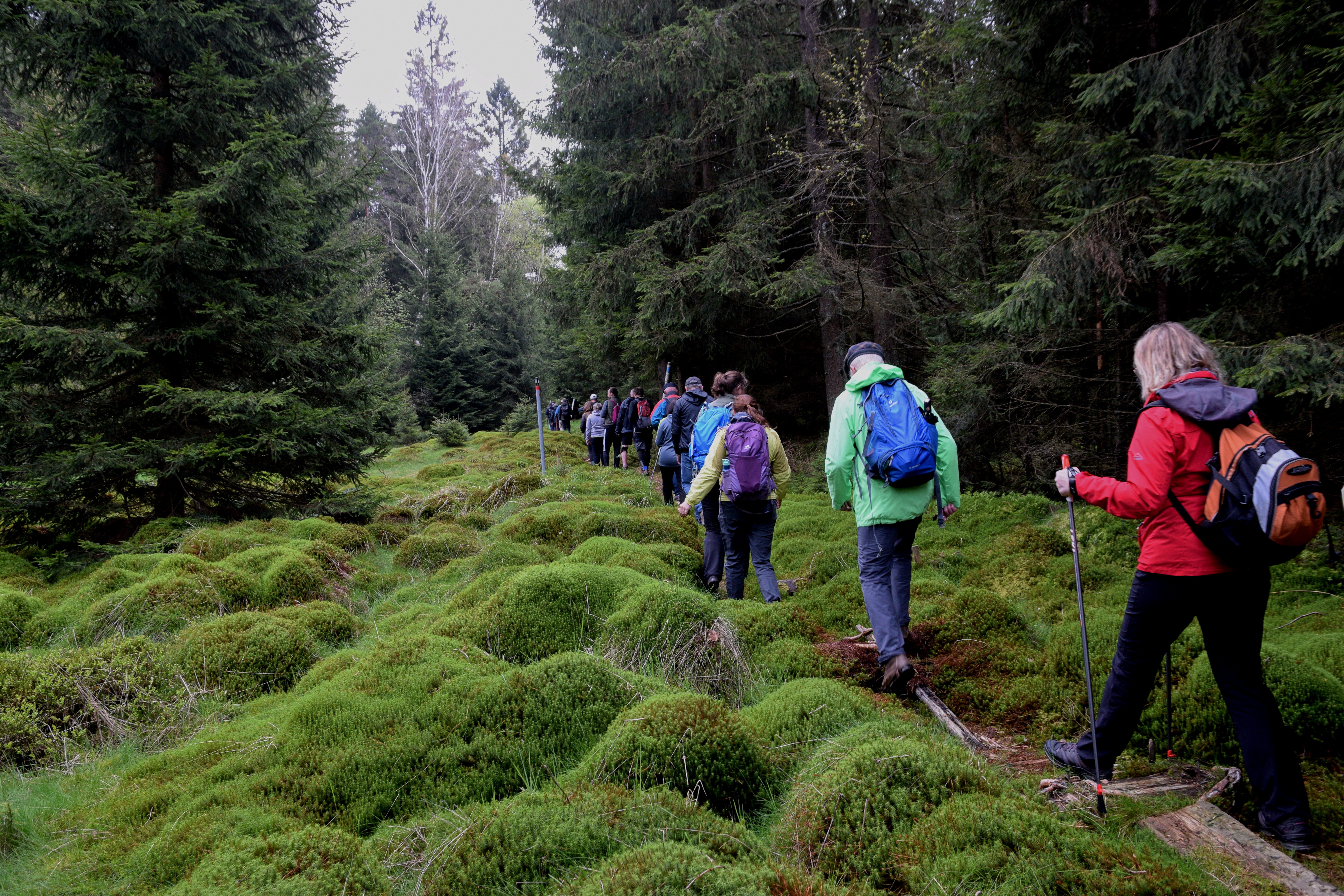 přírododvědná česko- německá vycházka podél státní hranice