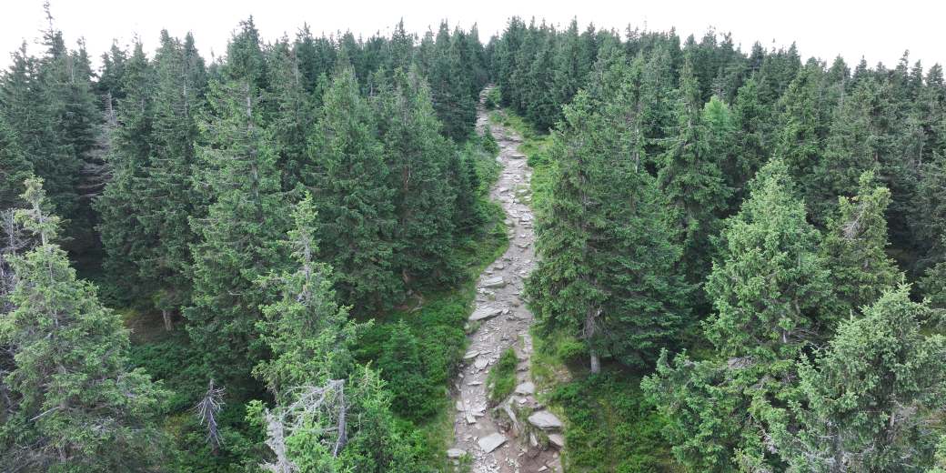 Původní stav z dronu, foto Petr Šaj