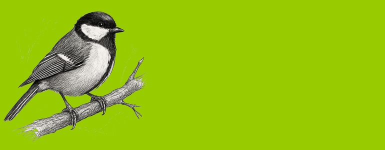 Vítání ptačího zpěvu