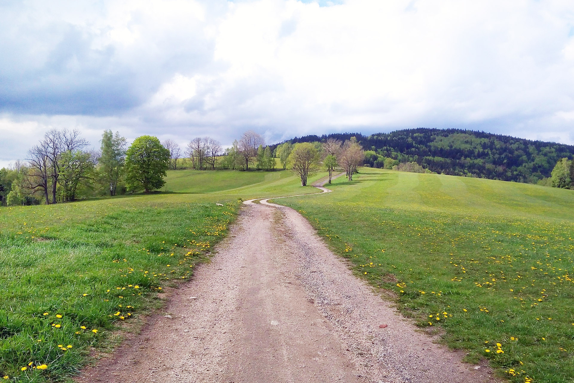 Poznejte CHKO Jizerské hory