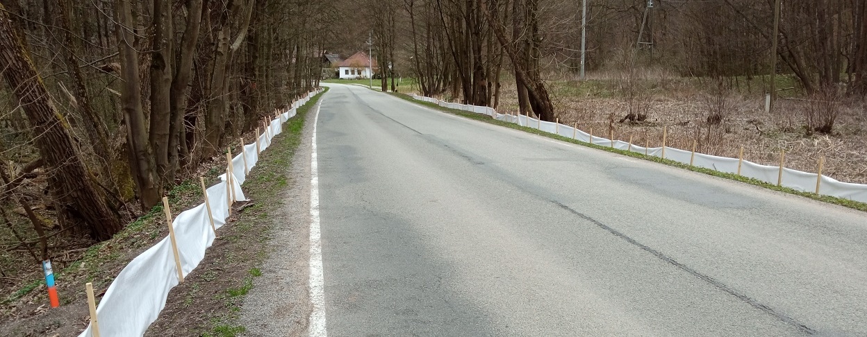 Záchrana migrujících obojživelníků 