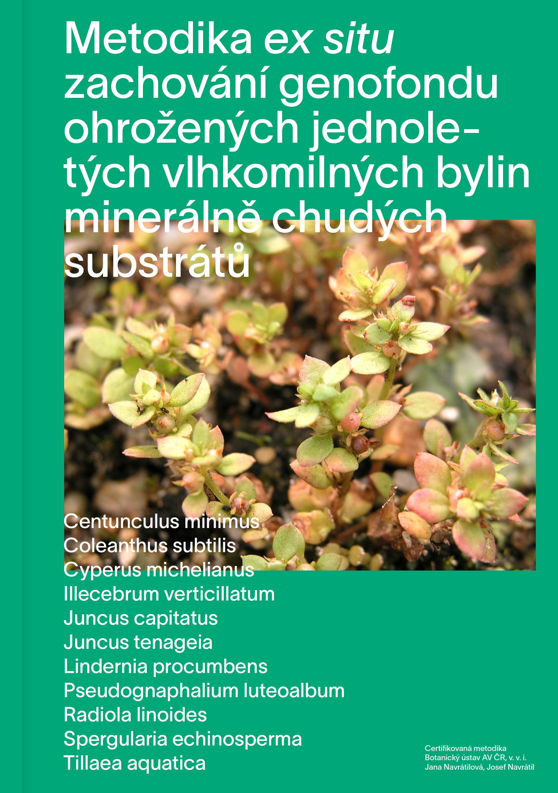 Metodika ex situ zachování genofondu ohrožených jednoletých vlhkomilných bylin minerálně chudých substrátů