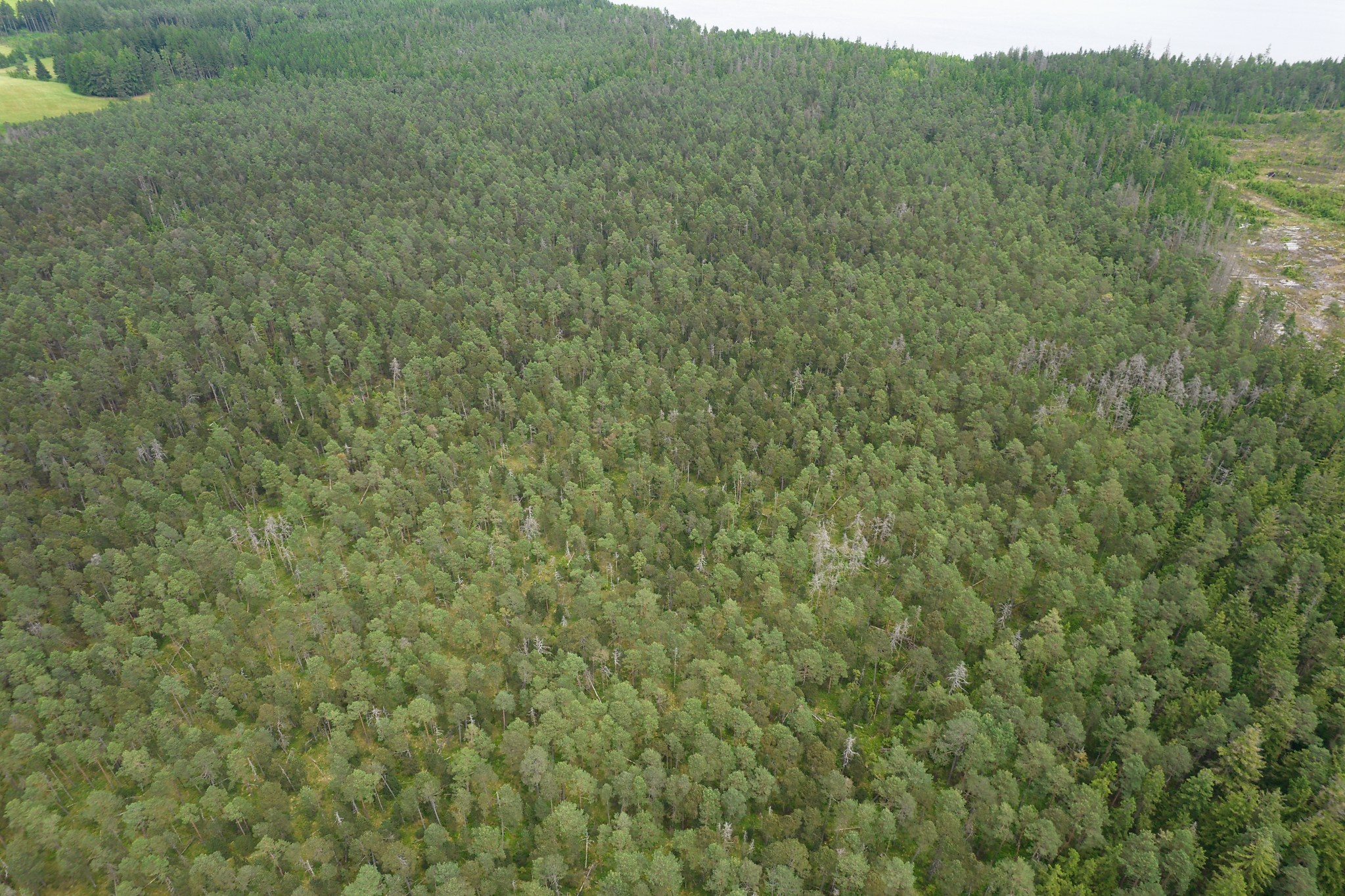 Aktuální letecký pohled na NPR Dářko