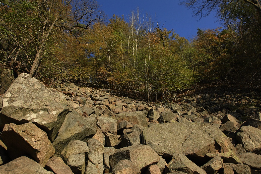 Kamenná suť vzniklá zvětráváním mrazem - Čtvrtohory